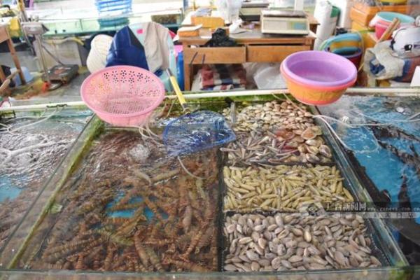 开海后,广西最新海鲜价格是这样的……(图17) 北海开海后海鲜市场行情_防城港开海节海鲜价格_北海干海鲜批发市场