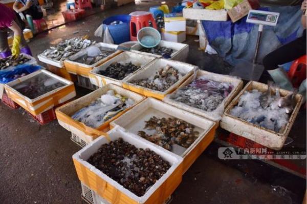开海后,广西最新海鲜价格是这样的……(图18) 北海干海鲜批发市场_北海开海后海鲜市场行情_防城港开海节海鲜价格