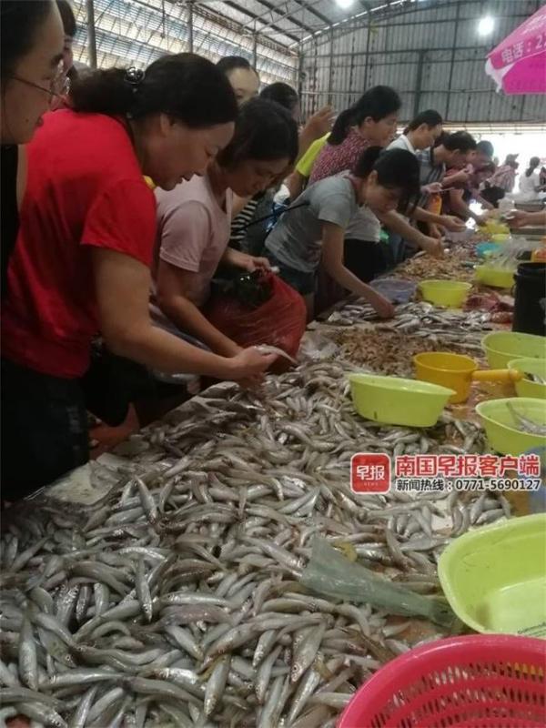 开海后,广西最新海鲜价格是这样的……(图5) 北海开海后海鲜市场行情_防城港开海节海鲜价格_北海干海鲜批发市场