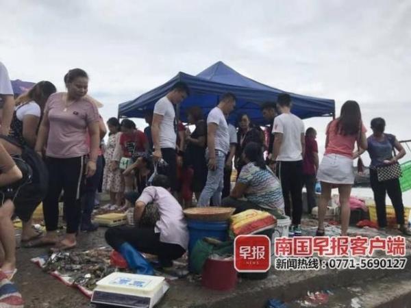 开海后,广西最新海鲜价格是这样的……(图8) 防城港开海节海鲜价格_北海开海后海鲜市场行情_北海干海鲜批发市场