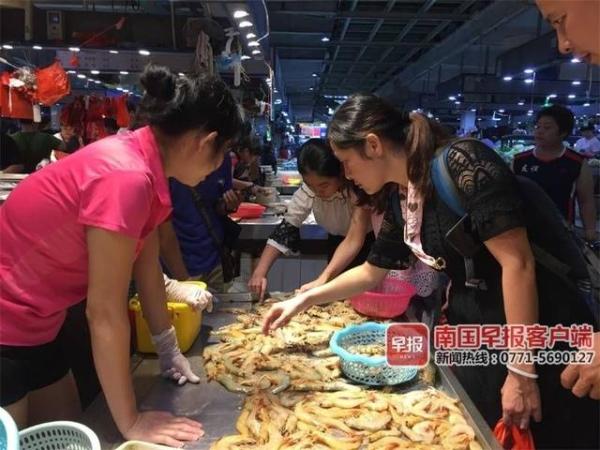 开海后,广西最新海鲜价格是这样的……(图9) 北海干海鲜批发市场_防城港开海节海鲜价格_北海开海后海鲜市场行情