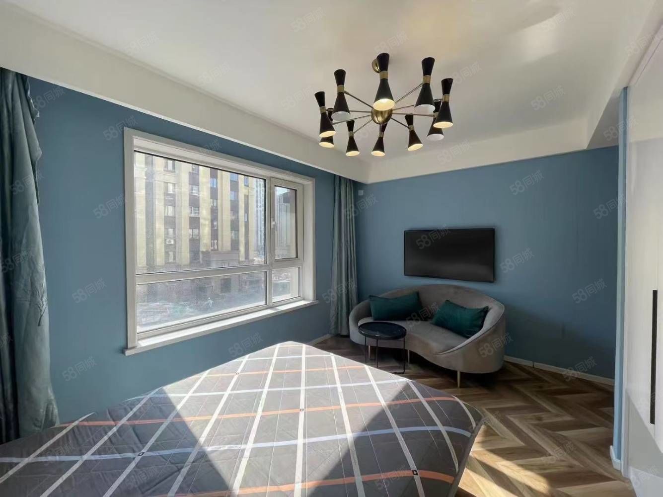 租房的福音 一室精装 16捆 16捆 电梯新小区 全天采光