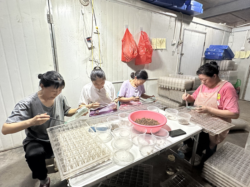 洛阳润涛养殖有限公司蝎子养殖_蝎子养殖技术培训_蝎子价格2025