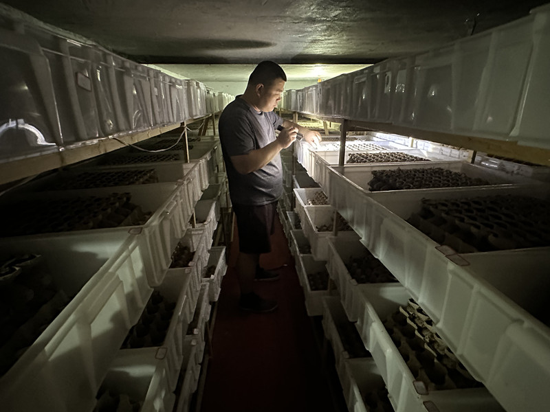 蝎子价格2025_蝎子养殖技术培训_洛阳润涛养殖有限公司蝎子养殖