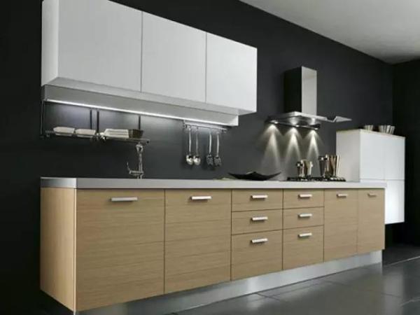 橱柜十大排名都有哪些 橱柜哪个品牌的产品质量好(图2) 橱柜十大排名