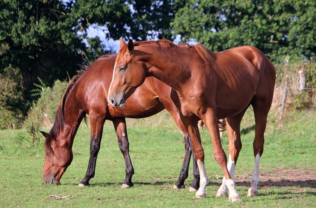618大促镜头如何选?本文手把手教你挑对镜头,内附镜头选购清单(图16) 佳能d30相机参数_新手相机镜头选购指南_适合新手使用的镜头推荐