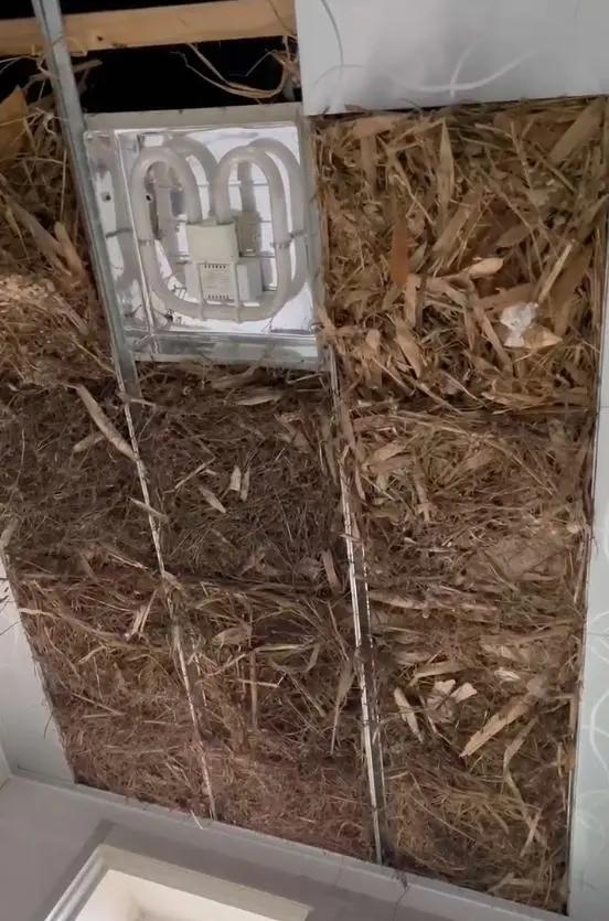 别大意!有人家里的卫生间被“入侵”了,吊顶上面让人大呼意外(图11) 集成吊顶安装止逆阀_卫生间噪音异响解决方法_pvc扣板吊顶怎么拆