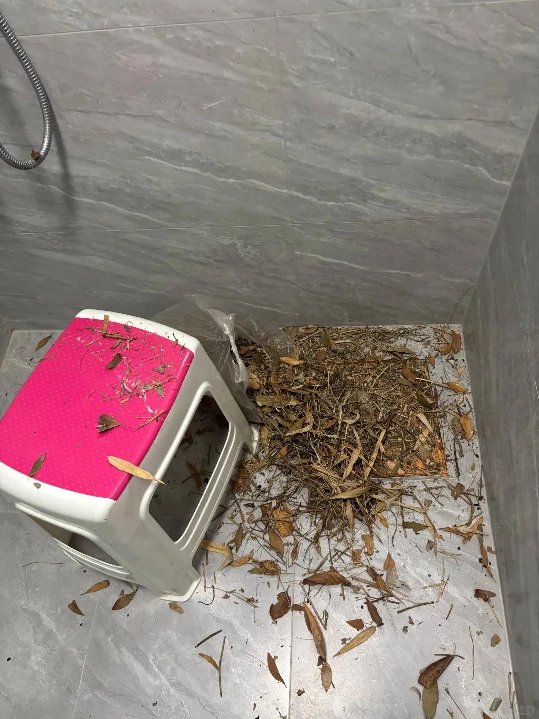 别大意!有人家里的卫生间被“入侵”了,吊顶上面让人大呼意外(图5) 集成吊顶安装止逆阀_pvc扣板吊顶怎么拆_卫生间噪音异响解决方法