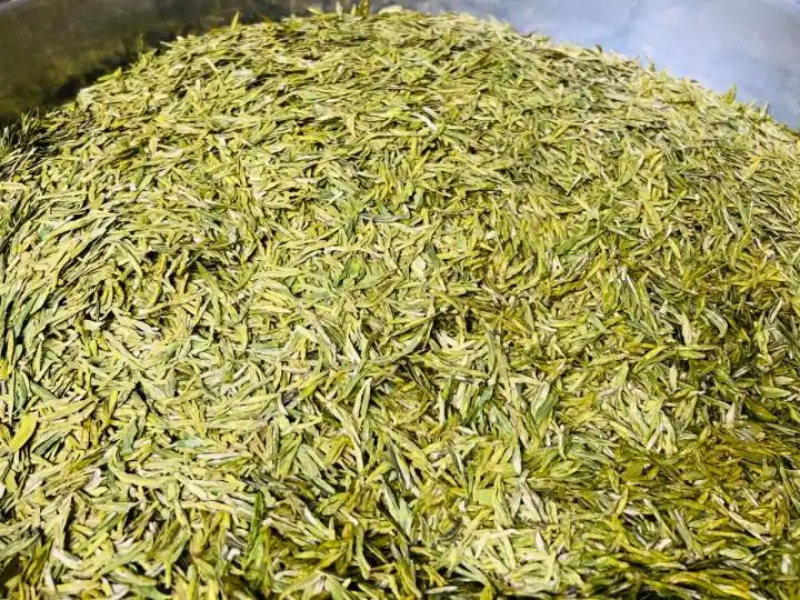 龙井茶茶叶价钱如何_杭州龙井茶采摘价格_钱塘产区龙井茶行情