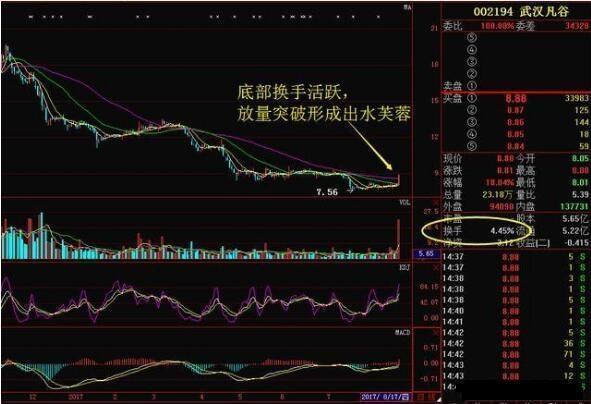 资本亏损规划_股票交易准备_庄家界餐饮服务工资