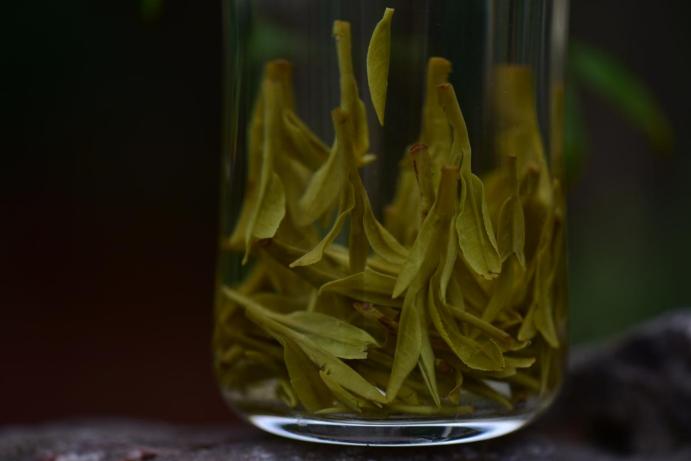 茶农收入难以保障_龙井茶茶叶价钱如何_福鼎白茶明前茶价格波动