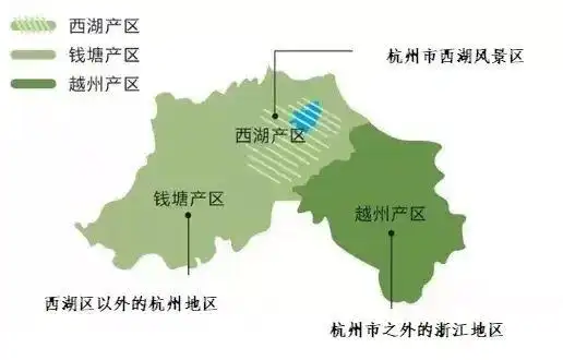 5万个芽头炒制1斤干茶,西湖龙井43号零星开采,头茶“含金量”杠杠的(图4) 杭州西湖龙井茶开采时间_龙井茶茶叶价钱如何_西湖龙井茶品质特点