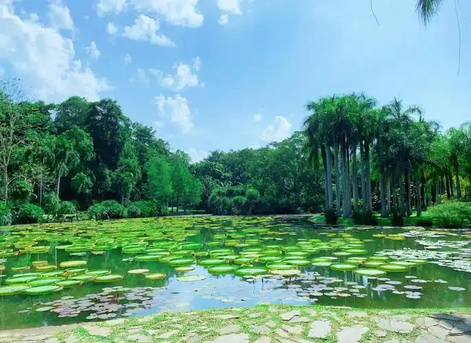 南宁可免费烧烤的地方_南宁免费公园_南宁收费公园