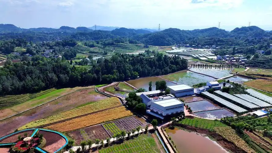 南宁免费公园_南宁可免费烧烤的地方_南宁收费公园