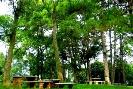 狮山公园烧烤_南宁可免费烧烤的地方_南宁烧烤地点推荐