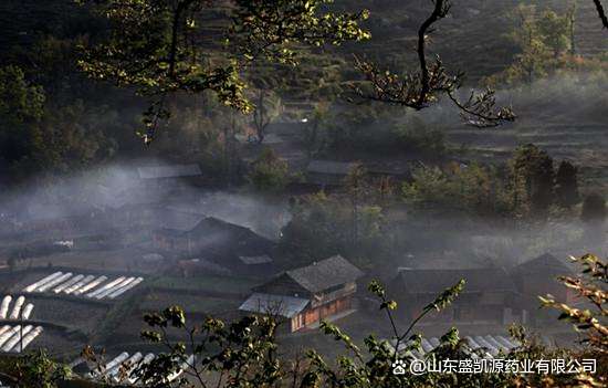 挖到湖南最“霸蛮”的小城 一口鲜辣比长沙更下饭(图1) 湖南邵阳的小吃_邵阳旅游攻略_邵阳美食推荐