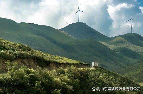 挖到湖南最“霸蛮”的小城 一口鲜辣比长沙更下饭(图3) 邵阳旅游攻略_邵阳美食推荐_湖南邵阳的小吃