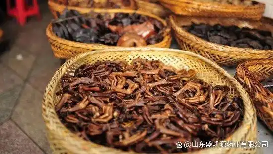 挖到湖南最“霸蛮”的小城 一口鲜辣比长沙更下饭(图23) 湖南邵阳的小吃_邵阳美食推荐_邵阳旅游攻略