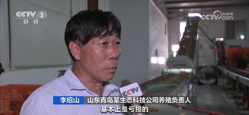 鸡蛋价格上涨原因分析_鸡蛋价格上涨带来的影响_鸡蛋近期价格走势