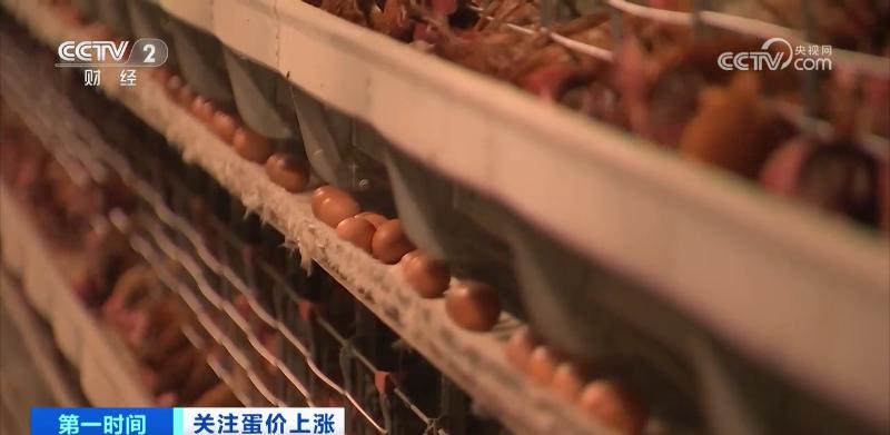 鸡蛋近期价格走势_鸡蛋价格上涨带来的影响_鸡蛋价格上涨原因分析