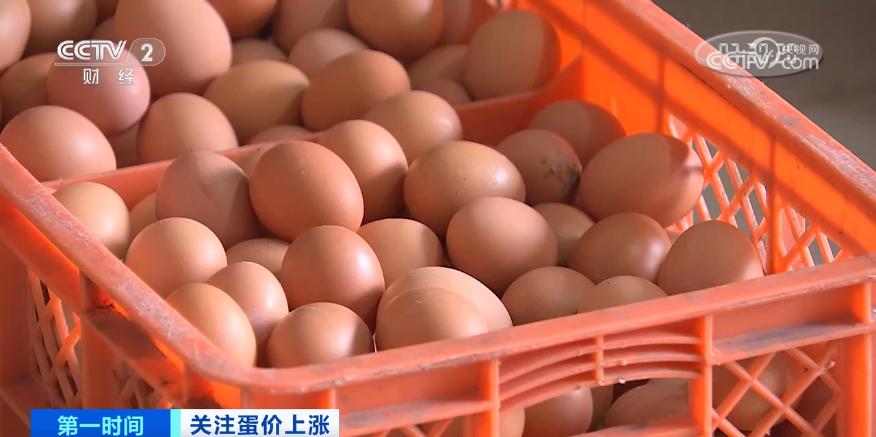 鸡蛋近期价格走势_鸡蛋价格上涨带来的影响_鸡蛋价格上涨原因分析