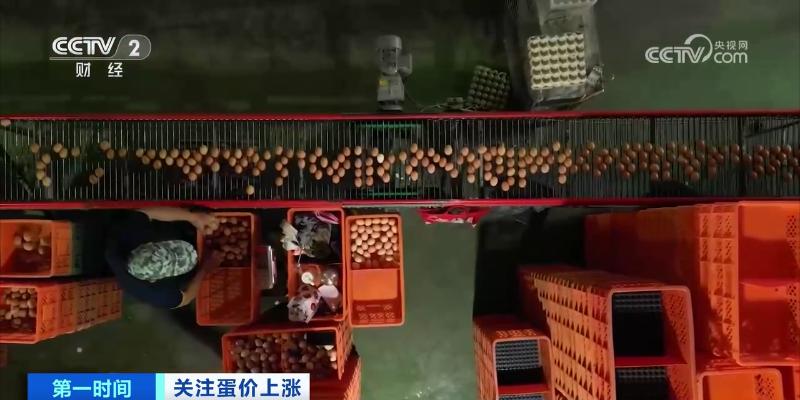 鸡蛋近期价格走势_鸡蛋价格上涨带来的影响_鸡蛋价格上涨原因分析
