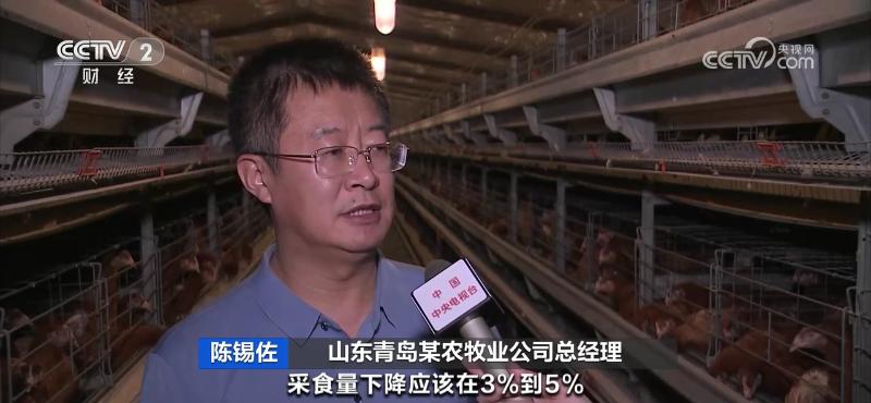 鸡蛋价格上涨原因分析_鸡蛋近期价格走势_鸡蛋价格上涨带来的影响