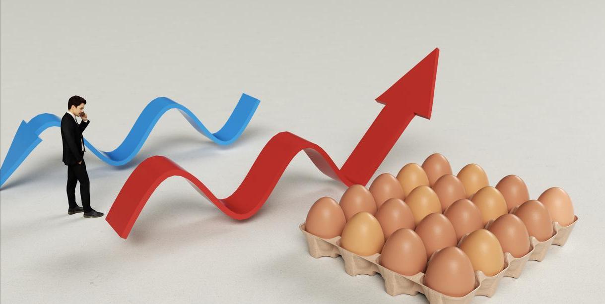 蛋价下跌原因分析_国内鸡蛋市场10月价格走势_鸡蛋价格上涨带来的影响