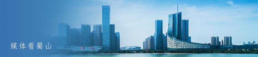 合肥租房避坑攻略_合肥房租开发票手续_合肥正规租房渠道