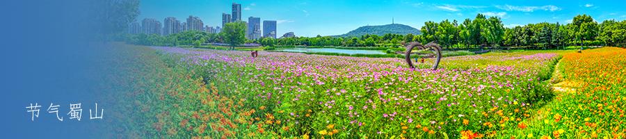 合肥租房避坑攻略_合肥房租开发票手续_合肥正规租房渠道