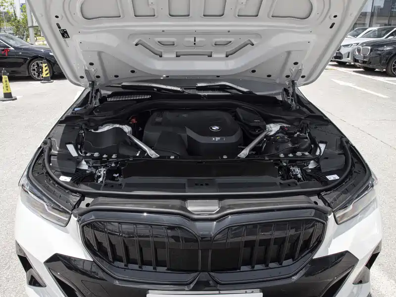 宝马发动机进水后维修费用大概是多少(图1) 宝马520LI