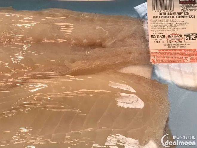 海鲜大全图片极英语_海鲜食用指南_低汞鱼类推荐