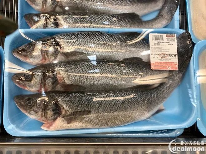 海鲜食用指南_海鲜大全图片极英语_低汞鱼类推荐