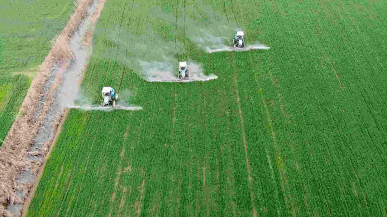 东北地区农业发展有“得天独厚”的优势,也有“隐隐作痛”的缺口(图5) 东北农业出现的问题_东北地区农业产业协同能力_东北地区农业发展现状