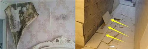 好墙面有标准!家装环保品牌美巢墙锢,双向渗透更牢靠(图1) 墙锢500系列无添加混凝土界面剂_美巢墙锢界面剂_美巢墙面