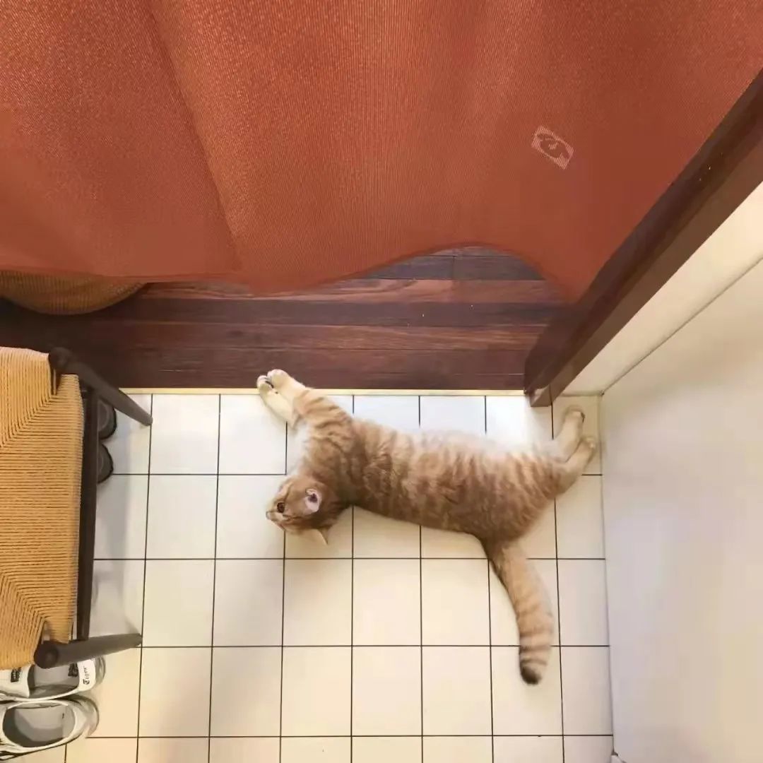 大几千的美缝也翻车?过来人告诉你不可忽视的细节(图12) 瓷砖美缝避坑指南_美缝剂种类选择攻略_金色瓷砖美缝剂效果图