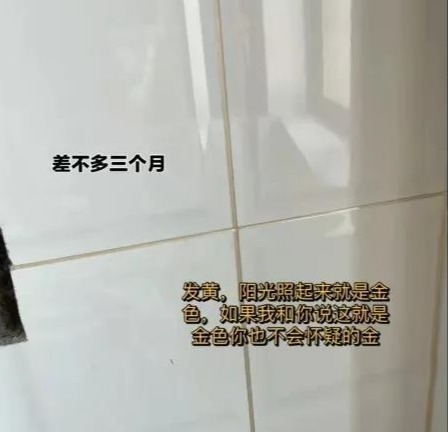 大几千的美缝也翻车?过来人告诉你不可忽视的细节(图4) 大几千的美缝也翻车?过来人告诉你不可忽视的细节