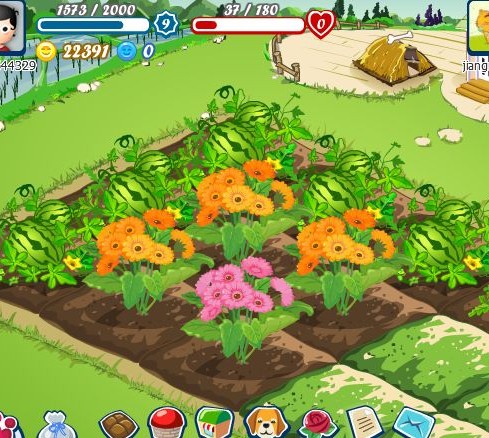 开心农场下线原因分析_qq农场怎样偷菜_开心农场人人网关闭