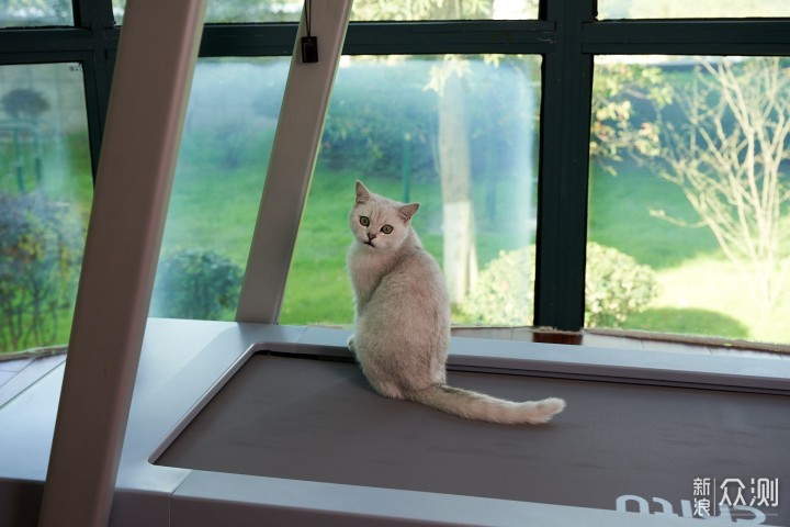 赤兔Air:居家跑步追剧,迈腿养成习惯!(图5) 赤兔Air:居家跑步追剧,迈腿养成习惯!_新浪众测