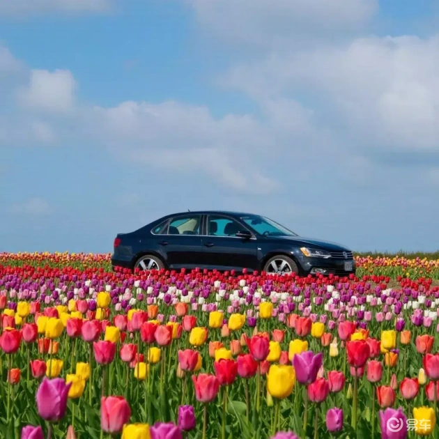 一汽大众捷达为何引擎易损?揭秘问题根源(图5) 捷达轿车发动机常见故障分析与检修_一汽大众捷达活塞环堵塞_烧机油问题捷达解决方案