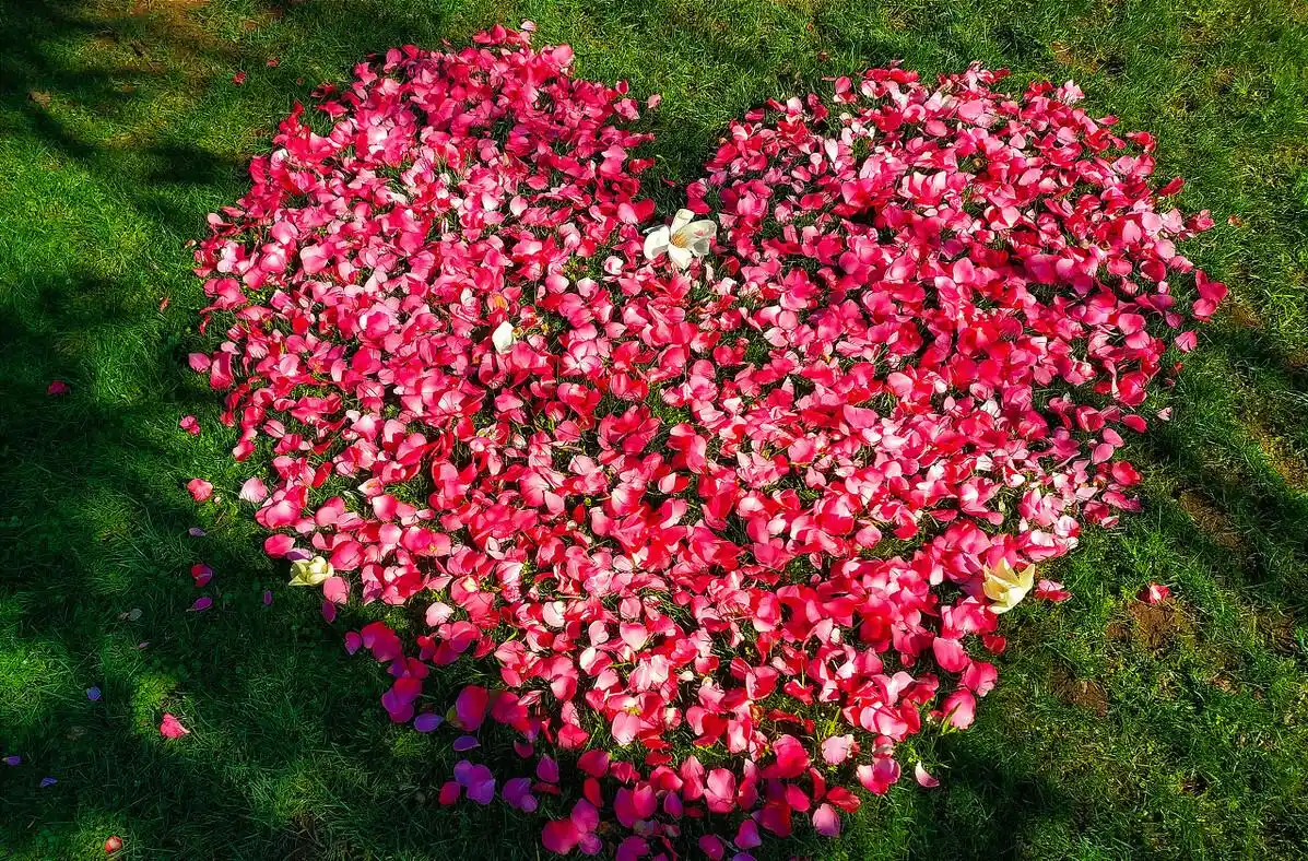 奢华摩托车_芬里尔摩托_全球十大奢华摩托