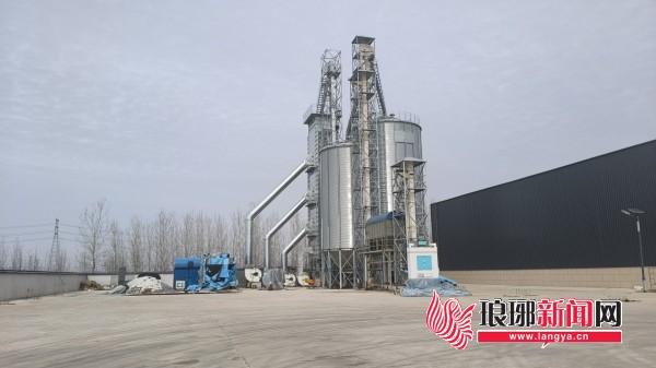 乡村振兴_四雁工程_中国农业科技创新鲁军