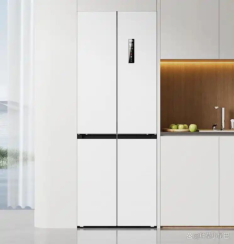 康佳冰箱与澳柯玛冰箱对比_康佳冰箱与澳柯玛冰箱价格对比_澳柯玛冰箱售后服务电话