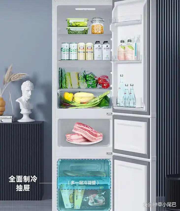 康佳冰箱与澳柯玛冰箱价格对比_康佳冰箱与澳柯玛冰箱对比_澳柯玛冰箱售后服务电话