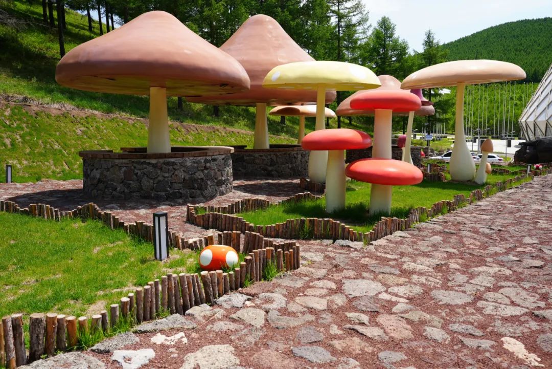 呼伦贝尔草原旅游专列价格_呼伦贝尔大草原旅行_草原之星穿越呼伦贝尔九日游空调旅游专列