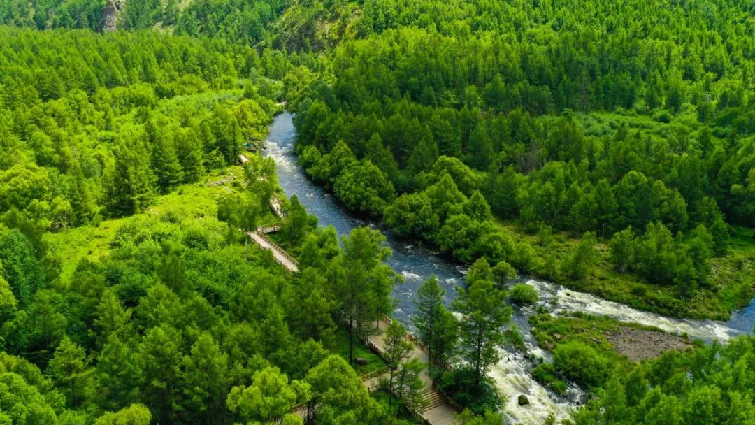 呼伦贝尔大草原旅行_呼伦贝尔草原旅游专列价格_草原之星穿越呼伦贝尔九日游空调旅游专列