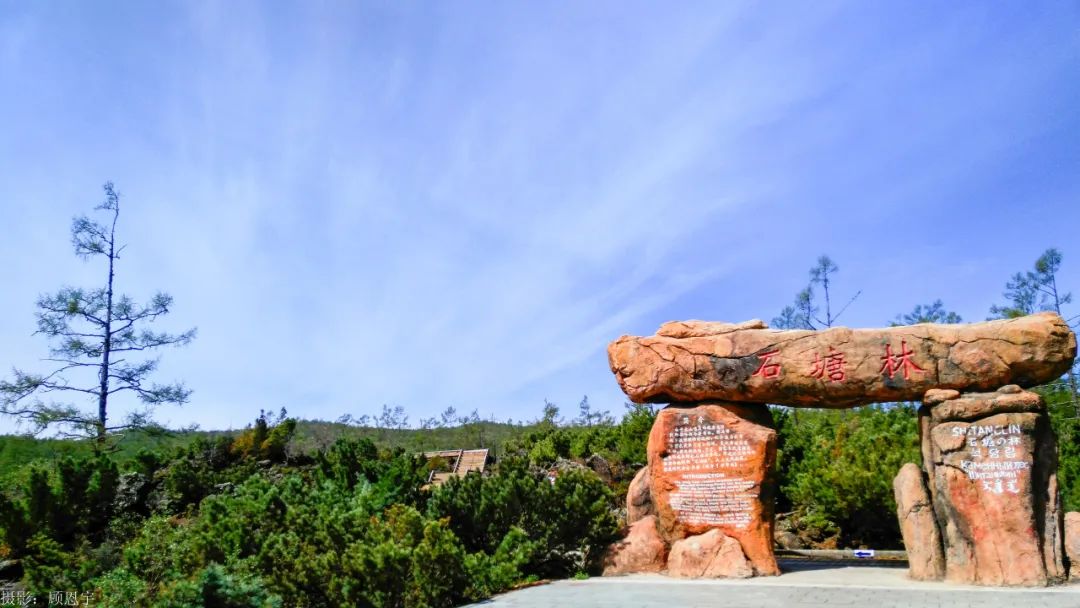 呼伦贝尔大草原旅行_呼伦贝尔草原旅游专列价格_草原之星穿越呼伦贝尔九日游空调旅游专列