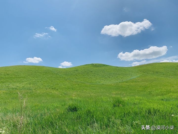 呼伦贝尔大草原超全攻略,自驾|包车|跟团,去草原一定要收藏下(图3) 呼伦贝尔大草原旅行_呼伦贝尔大草原最佳旅行时间_呼伦贝尔大草原自由行路线