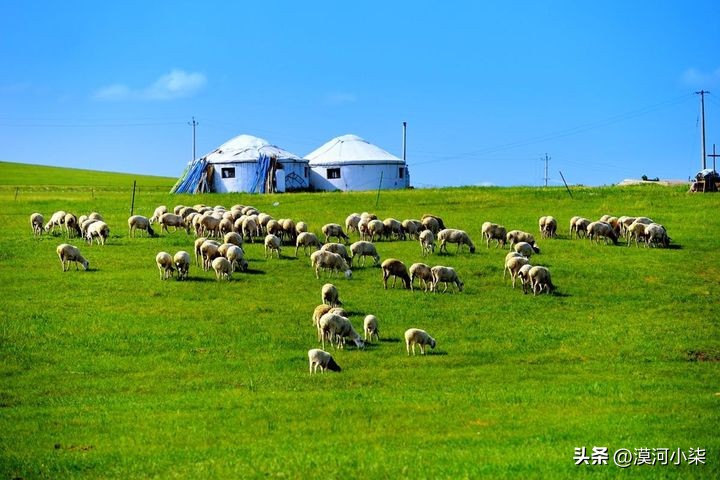 呼伦贝尔大草原超全攻略,自驾|包车|跟团,去草原一定要收藏下(图24) 呼伦贝尔大草原最佳旅行时间_呼伦贝尔大草原自由行路线_呼伦贝尔大草原旅行