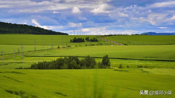 呼伦贝尔大草原超全攻略,自驾|包车|跟团,去草原一定要收藏下(图7) 呼伦贝尔大草原旅行_呼伦贝尔大草原自由行路线_呼伦贝尔大草原最佳旅行时间